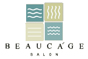 BS_footer_logo.gif (5976 bytes)