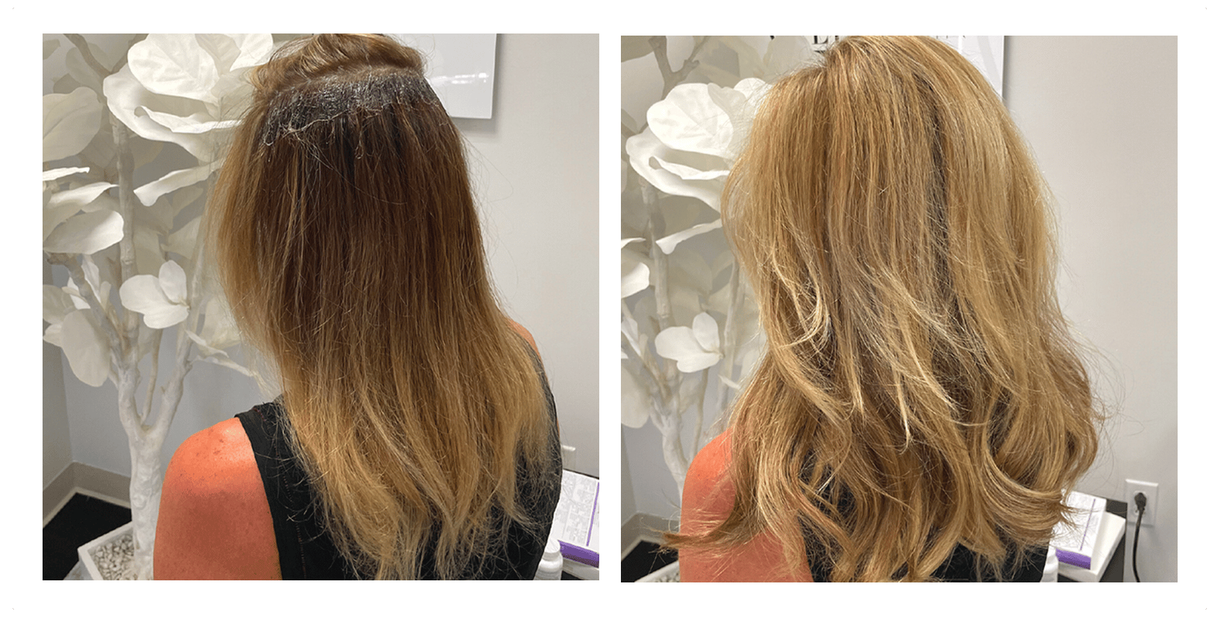 Before and After Hair Color